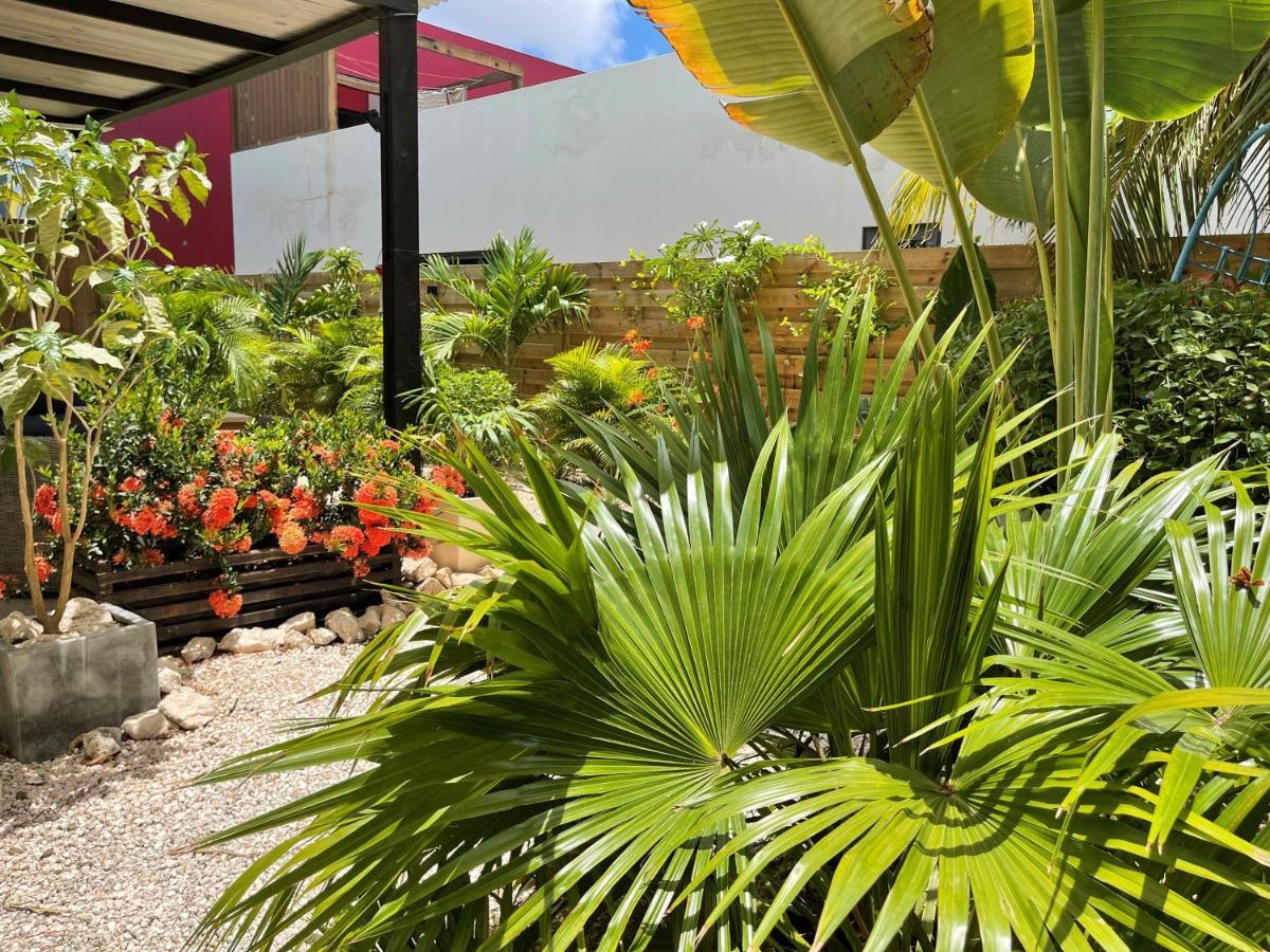 Casa Mantana Bonaire Bed & Breakfast Kralendijk  Ngoại thất bức ảnh